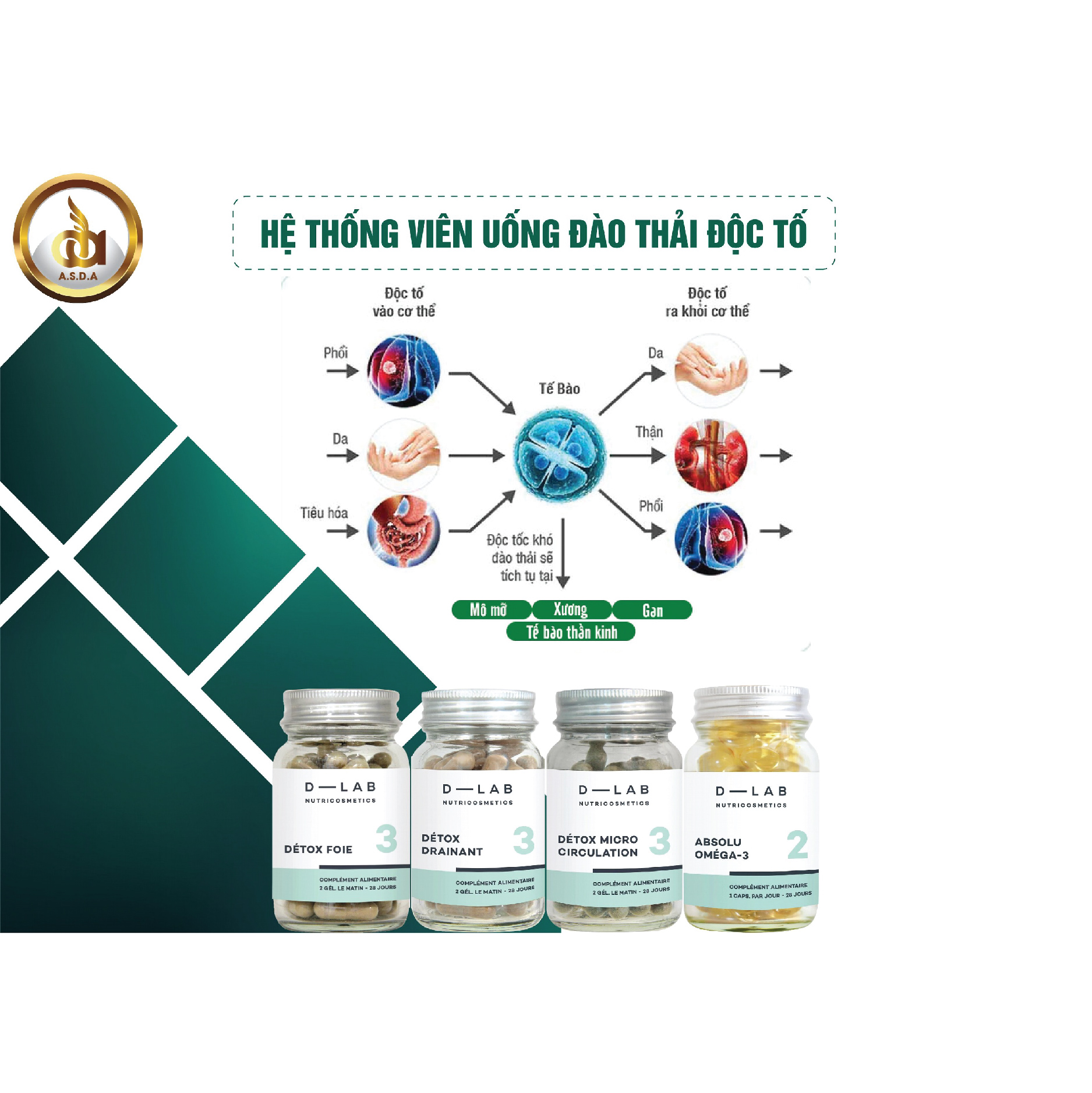 Dòng uống đào thải độc tố