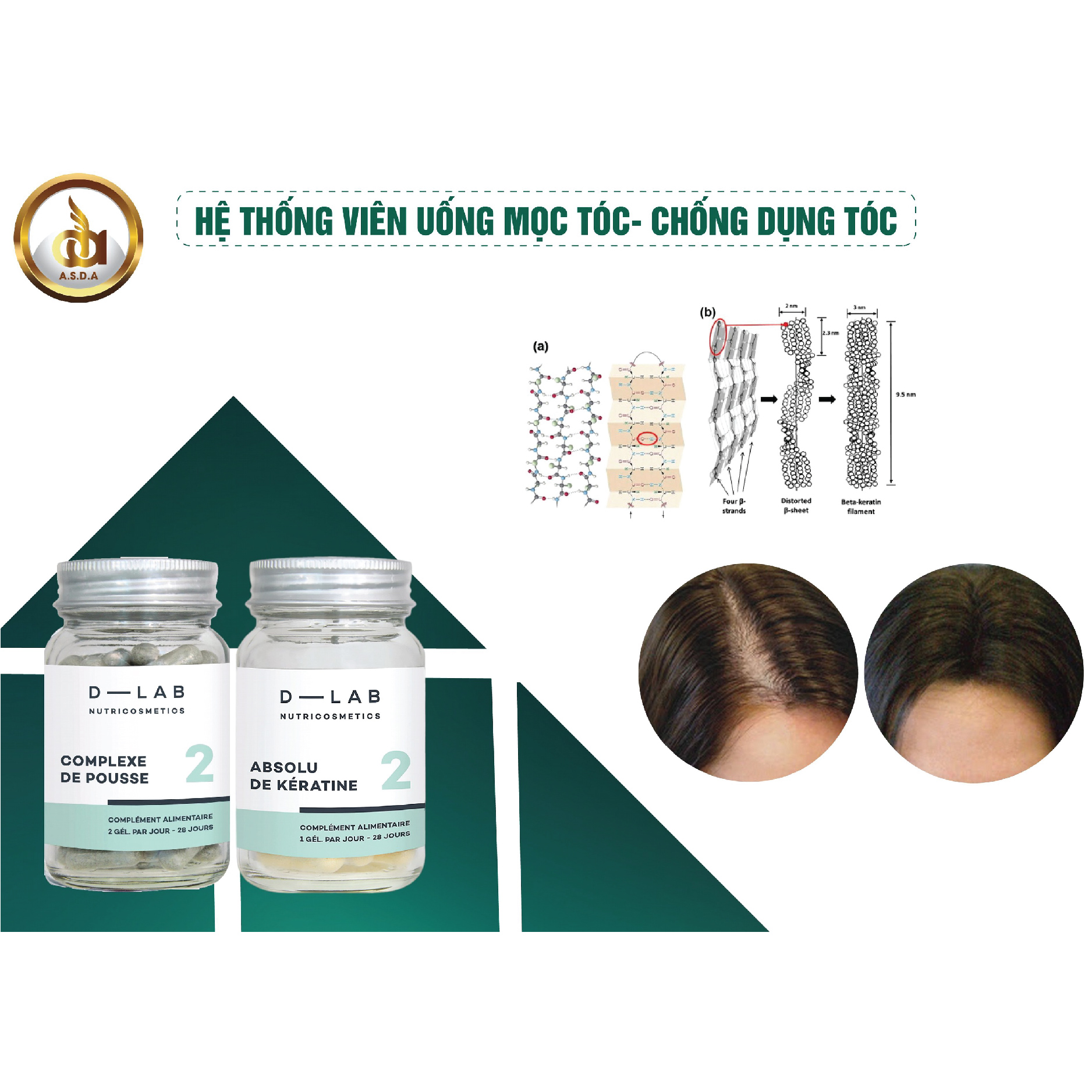 Dòng uống mọc tóc- chống rụng tóc