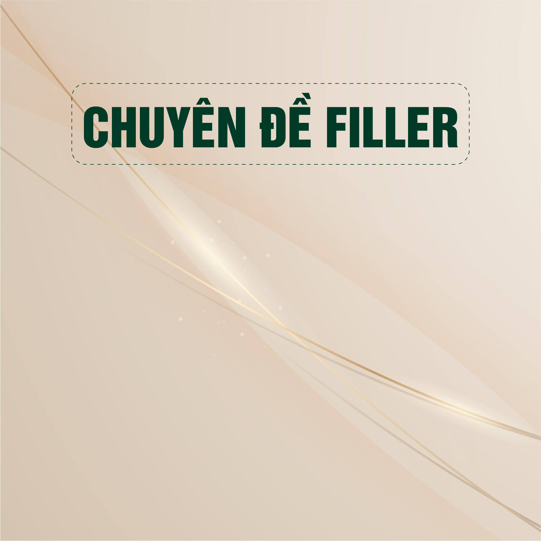 Chuyên đề Filler